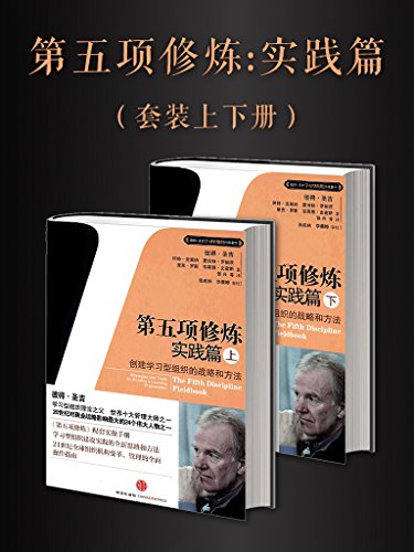 第五项修炼·实践篇