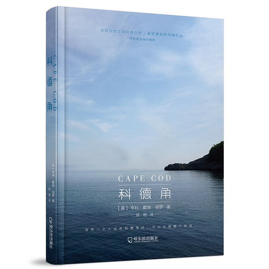 科德角 科德角